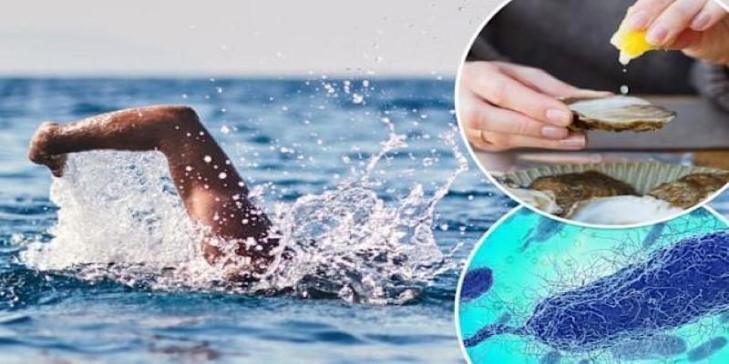 Health Concerns Linked to Flesh-Eating Bacteria in Natural Water Sources